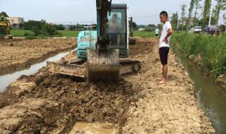 学挖掘机到底哪家强